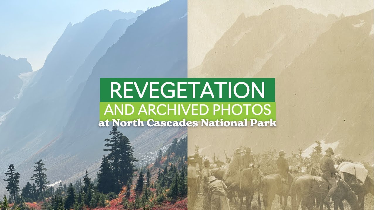 Revegetation of Cascade Pass and the Archived Photos of North Cascades National Park