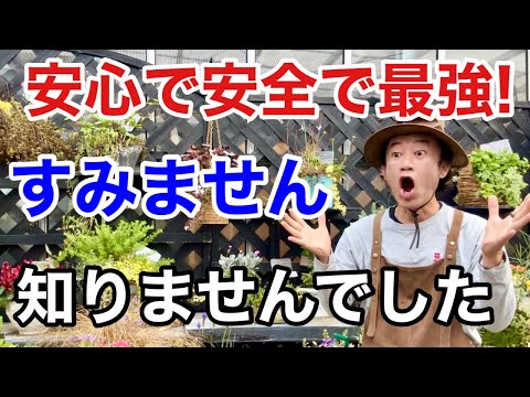 ニーム油の緑の植物