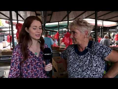 Ceger ep.1076 14.08.2022.