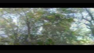 All A Dreams - The Telescopes