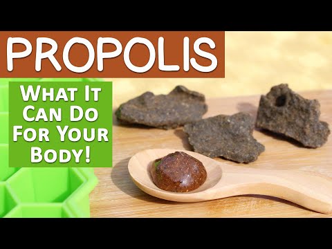 Vorteile von Bienenpropolis: Was macht es zu einem begehrten Superfood?