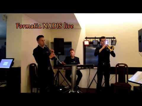 Formatia NADIS Magica Reataurant sarba instrumentala