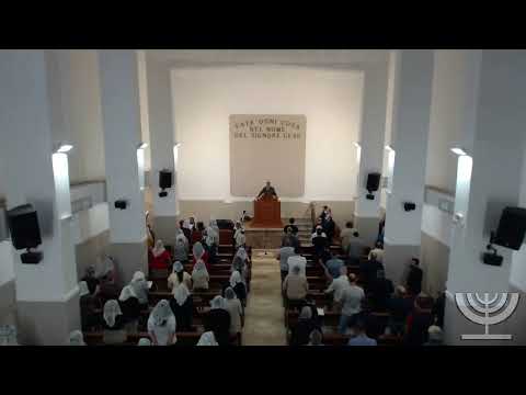 2020-06-14 Domenica Sera - Fr Marretta - Fr Gemelli G - Marco cap 4 ver 35