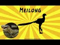 Mei Long Dinosaur Of The Day