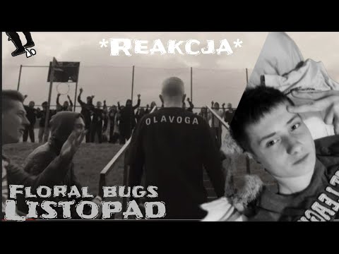 Floral bugs - Listopad | Reakcja | Oli |