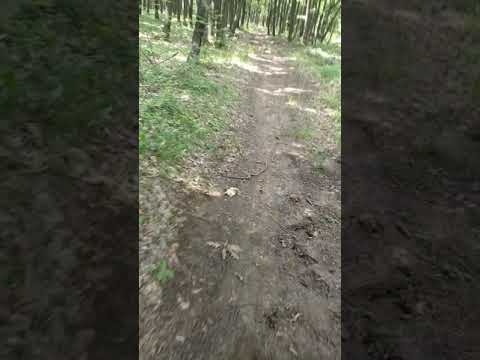 Mosoaia - Drumul Morii spre Ciocanai cu bicicleta - iunie 2020