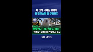 개 산책 시키는 로봇개, 공놀이 하려는데 공 안 주워오자 #shorts