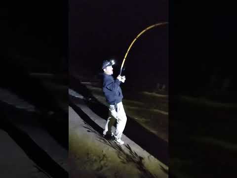 pescando de noche río Tarija #fishing #lineadepesca #pesca #fish