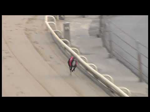 Greyhound 2023 - 08.04.2023 Trial 2