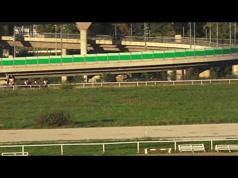 16.10.2022 - Trka VI "TRKA GRADA BEOGRADA" - Hipodrom Beograd