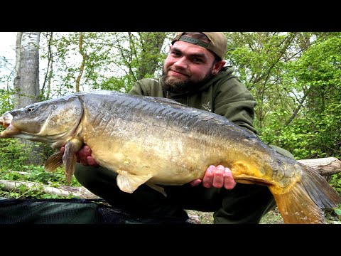 Full double run holy sh**! Das ist Karpfenangeln!