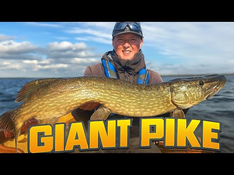 Baggin’ Up! Mega Irish Pike on Lures with Senan