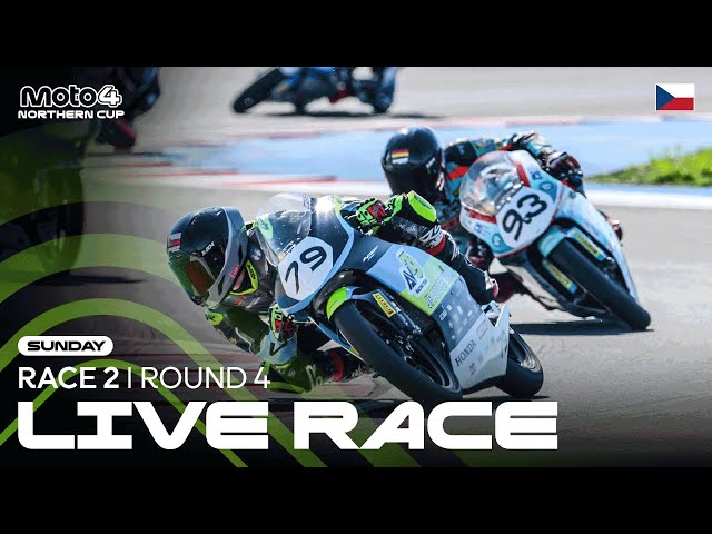 Ver video en YouTube