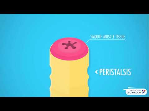 VEJIGA, MICCION, Y REFLEJO MICCIONAL