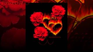 MARLON E MAICON QUANDO EU MAIS PRECISEI DE VOCÊ.HD (VIDEO ROMÃNTICO)