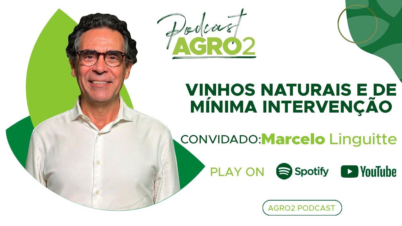 Produção e mercado de Vinhos Naturais e de Mínima Intervenção tem crescimento anual de 12% #347