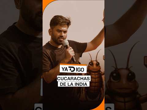 #YaTDigo: Cucarachas de la India