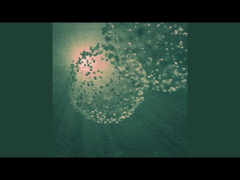 They Never Came Back