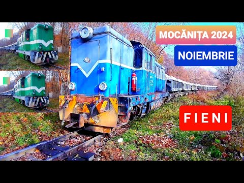 MOCANITA (NOIEMBRIE 2024) / FIENI