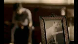 Ed Harcourt - Apple Of My Eye (Music Video) (ᴴᴰ)