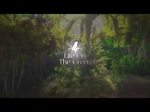 Walkthrough Walkthrough