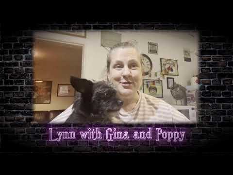 Doodle Adopters - Lynn with Gina and Poppy