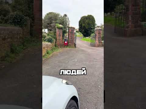 СЕМЬЯ УВИДЕЛИ ЖУТКУЮ СИТУАЦИЮ С ТЕСЛОЙ