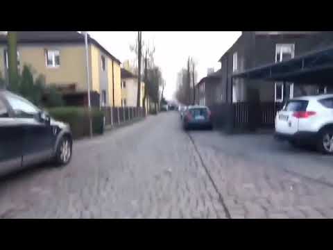 Ruch Chorzow 101th anniversary. Ultras Niebiescy 2008 & Ultras Blue Boys. 21/04