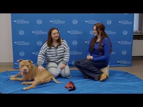 SEAS Barking Points: Choosing SEAS for Grad School