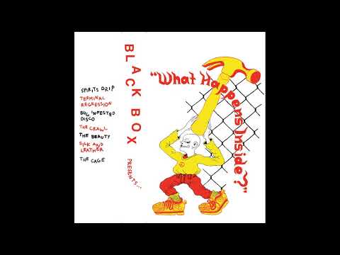 BLACK BOX - What Happens Inside [2019 Hardcore Punk]