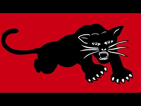 The Black Panther Party Isn’t Coming Back — But Something Better Should