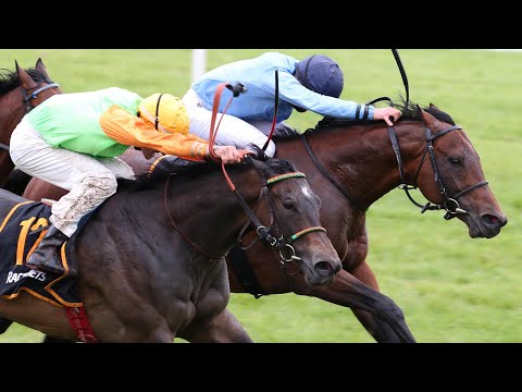 Baden-Baden – 23. Mai 2020: Silberne Peitsche (Gr. III) – Sieger: Namos