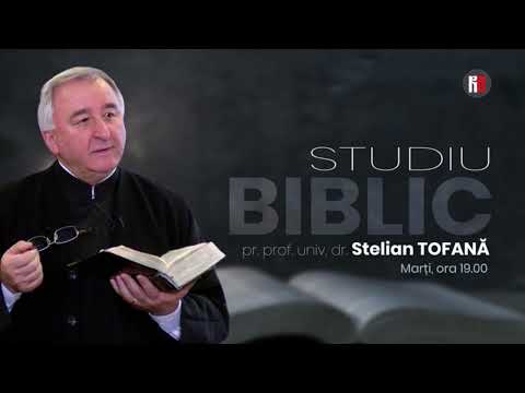 Frații lui Iisus. P1 Ce ne spune Biblia? (Pr. Stelian Tofană)