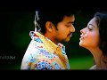 Thalapathy Love Mashup