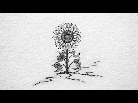 Peter Reimtgut mit Valerio - Sagt sich so leicht/ Akustikversion - (Musikvideo)