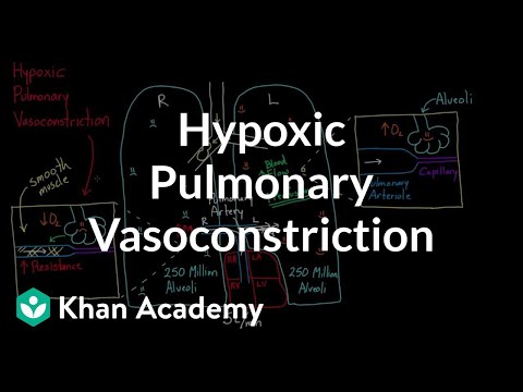 Hypoxic pulmonary vasoconstriction | Circulatory system physiology | NCLEX-RN | Khan Academy