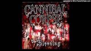 Cannibal Corpse   She Was Asking For It 480p