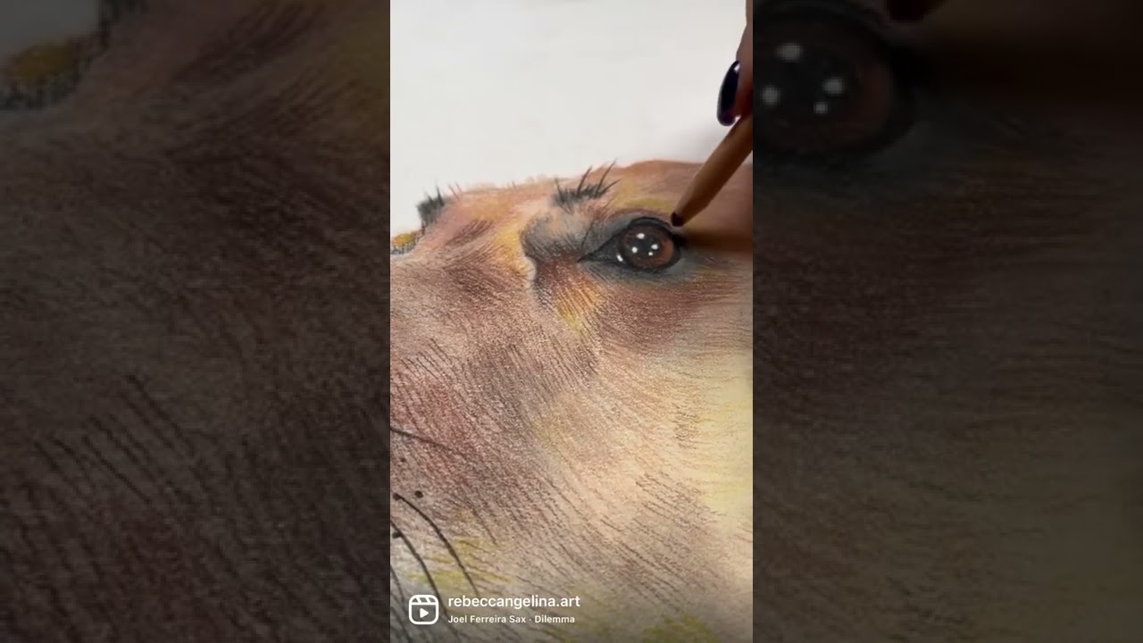 👑 my protector and my best friend #art #arte #artist #realism #realisticart #petportrait