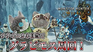 【MHWilds】ナナイロカネ集めでイベクエグラビ周回するぞ！【モンスターハンターワイルズ】