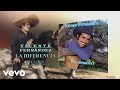Vicente Fernández - La Diferencia (Cover Audio)