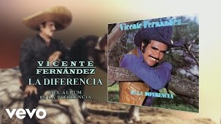 Vicente Fernández - La Diferencia (Cover Audio)