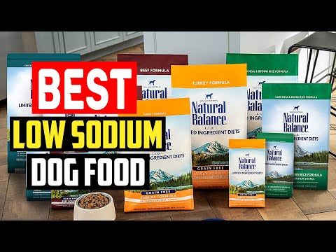 ✅ Top 5 Best Low Sodium Dog Food in 2022