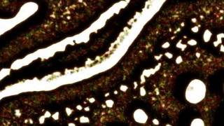 Juliet - Avalon (Jacques Lu Cont Versus Remix)