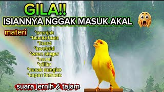 Download lagu FULL ISIAN GILA-GILAAN!!! masteran kenari full isian super mewah - terbaru 2026 mp3 Download lagu FULL ISIAN GILA-GILAAN!!! masteran kenari full isian super mewah - terbaru 2026 mp3