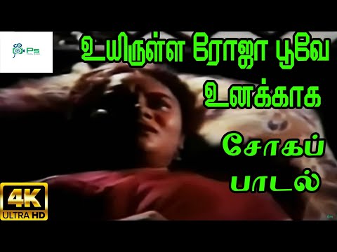 Uyirulla Roja Poove (Male)  Sad ||  உயிருள்ள ரோஜா பூவே உனக்காக || P Jayachandran Love Sad H D Song