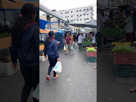 Conhecendo a feira livre da cidade de Orobó PE