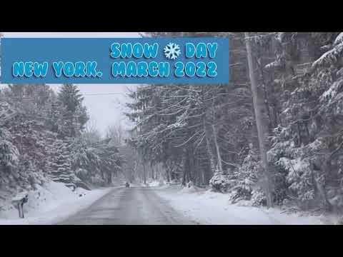 New York snow day March 2022❄️