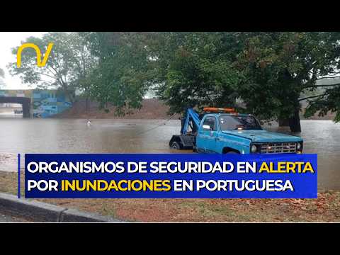 ¡EMERGENCIA EN PORTUGUESA! Inundaciones azotan varios sectores del estado