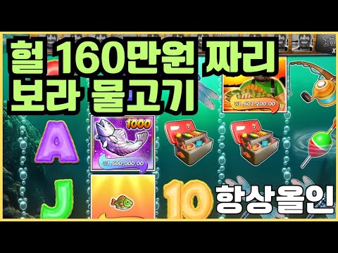 [슬롯][제보영상][닉네임:항상올인]빅배스 1054배
