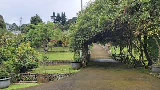 Download lagu DIJUAL MURAH VILLA KEBUN BUAH DEKAT JALAN RAYA NASIONAL PUNCAK BOGOR mp3 Download lagu DIJUAL MURAH VILLA KEBUN BUAH DEKAT JALAN RAYA NASIONAL PUNCAK BOGOR mp3